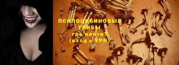 тгк Беломорск