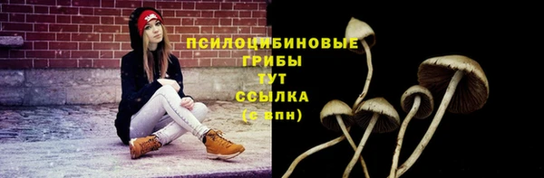 ALPHA-PVP Белокуриха
