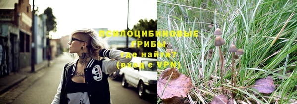 тгк Беломорск