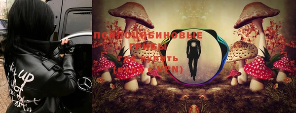 тгк Беломорск